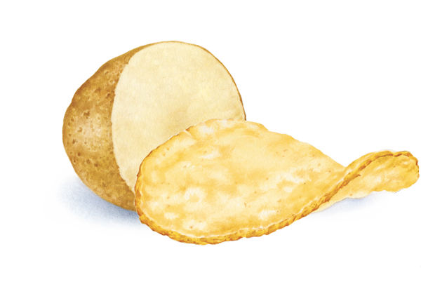 Skin-On-Chips